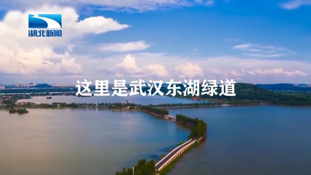 大片来袭!东湖绿道即将“炸裂”你的屏