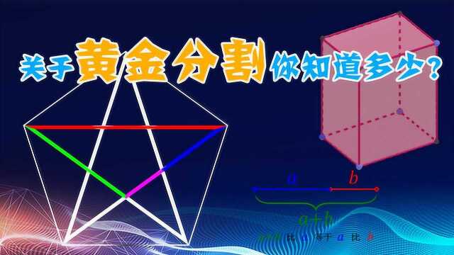 三维空间的黄金比例是多少?关于黄金分割的各种脑洞