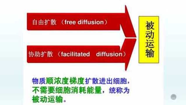 生物祝老师物质跨膜运输的方式