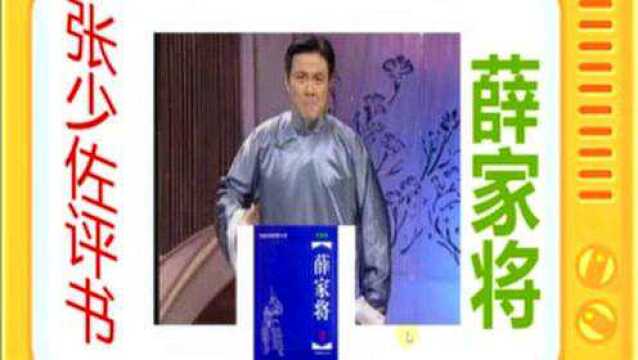 张少佐评书:《薛家将》全本29