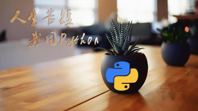 Python实战教程:用python下载bilibili短视频