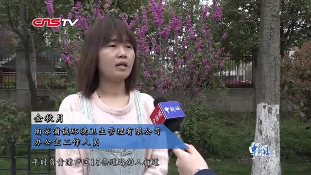 南京女子环卫机扫队:能开车会修理大学以上学历优先考虑