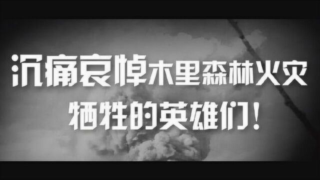 痛悼离去的30个生命!四川凉山森林火灾牺牲人员名单公布