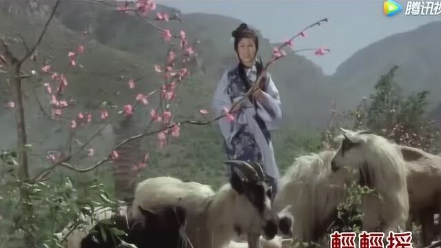 怀旧影视歌曲:《少林寺》插曲,郑绪岚《牧羊曲》高清剪辑版