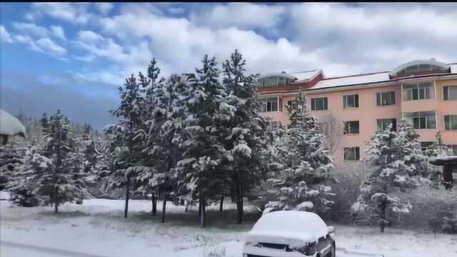 龙江今天一省两景 南边花开北边飘雪