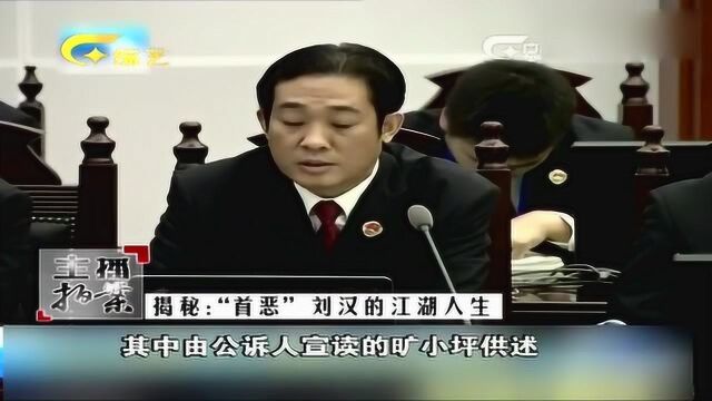 扫黑除恶震惊全国案件,刘汉刘维和他们的涉黑团伙,网友称大快人心