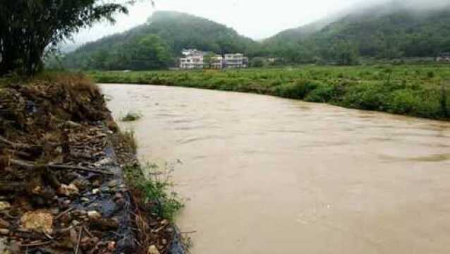 四月爆雨不断贵岭村的农作物影响了吗?