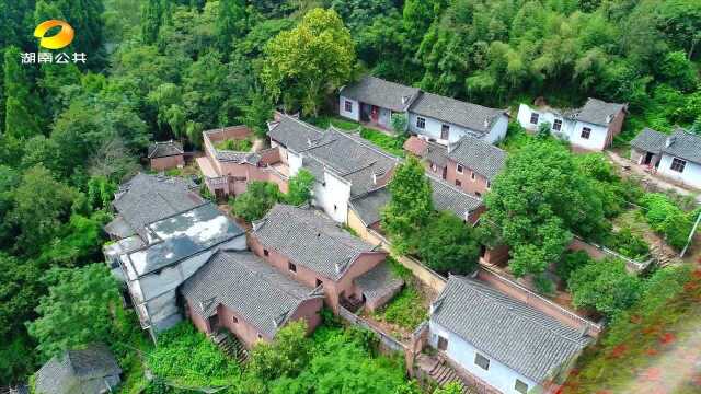 永州蓝山:映山红映红湘江源