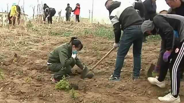 《东宁新闻》黑龙江东宁美化小区环境 提升生活品质