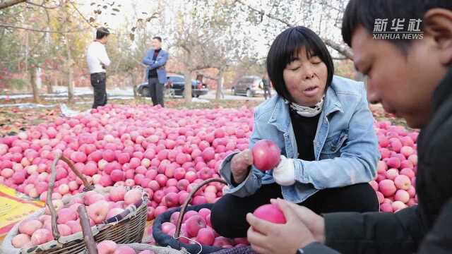 “无手”女电商付凡平:带领老乡奋力脱贫