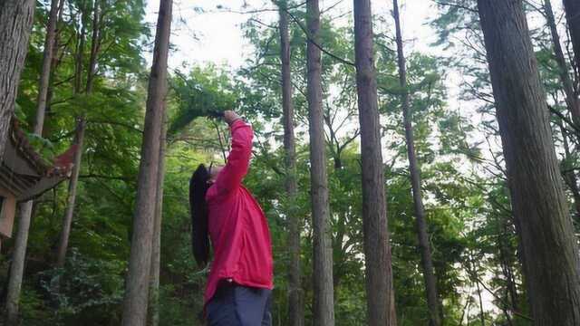 河南这个公园为何起了个外国名字?进去后才知道,来历不简单!