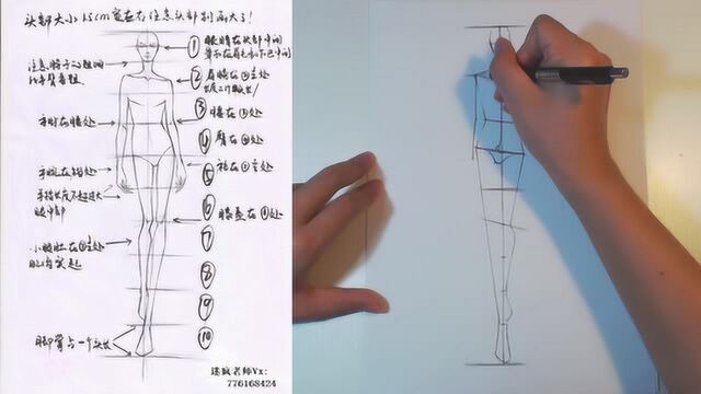 服装效果图的人体比例该怎么分,一起来听听资深设计师的详细讲解