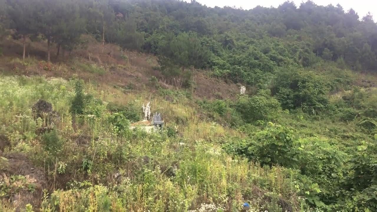 16日实拍王君植风水大师在贵州贵阳寻龙点穴墓地阴宅坟墓地理风水视频