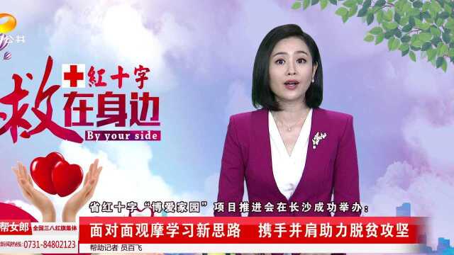 省红十字“博爱家园”项目推进会在长沙举办