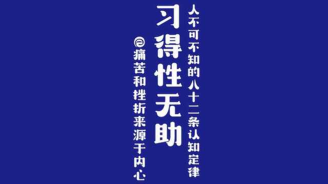 心理学实验:习得性无助