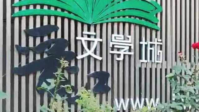 晋江文学城进行内容自查停更两周,此前涉嫌传播淫秽色情信息被查