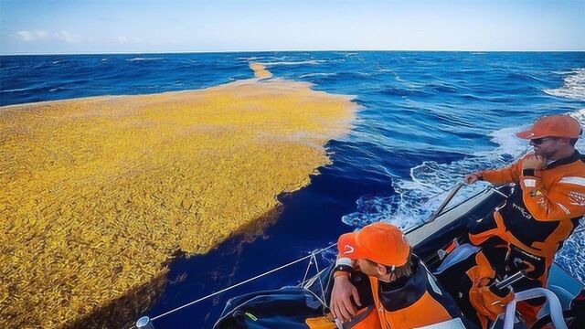 全球最危险的海域,水下能见度达70米,却成为船只的噩梦