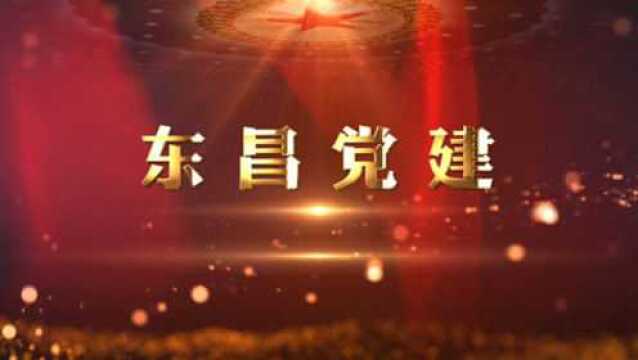 东昌党建第13期