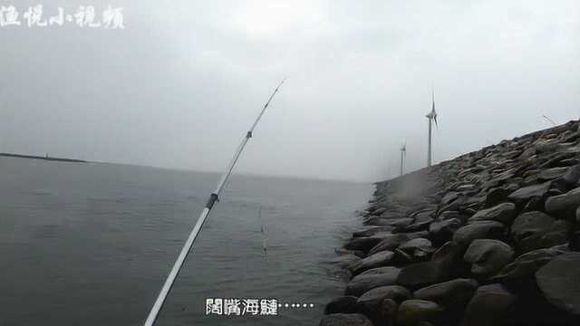 下雨天去海钓,渔情太好了,扔下去就吃