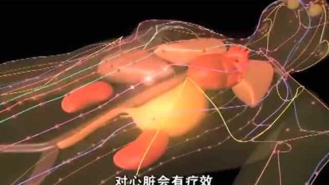 英语学习中国文化100集 第30集 针灸 Acupuncture