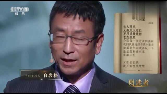 白岩松演讲《长大回家》,每一句都是游子的心声,值得一看!