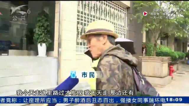 人行道突现隔离桩 市民吐槽“太碍脚”