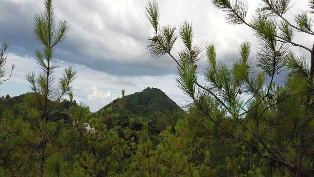 金元宝让堂局充满贵气,席帽案使穴场锦上添花!