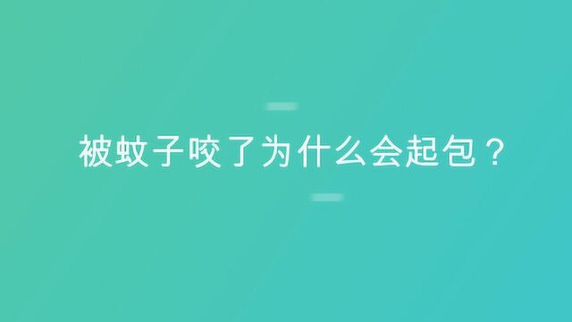 被蚊子咬了为什么会起包?