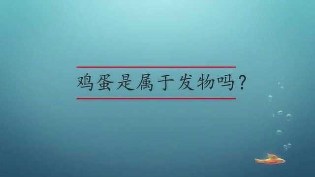 鸡蛋是不是属于发物吗?