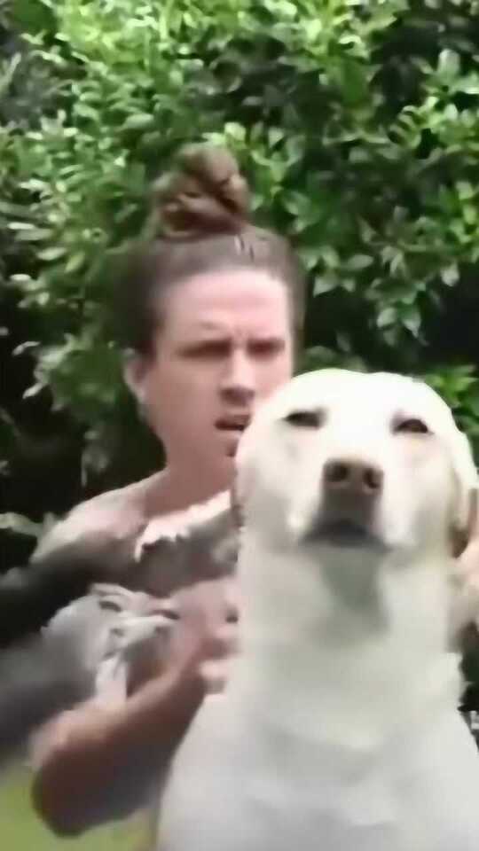 Thumbplayer Poster Plugin Image