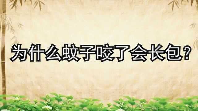 为什么蚊子咬了会长包?