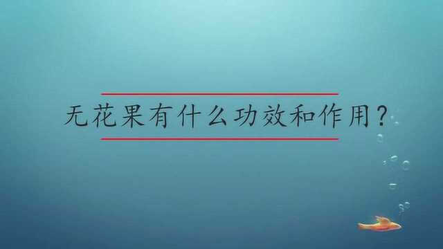 无花果有什么功效和作用?