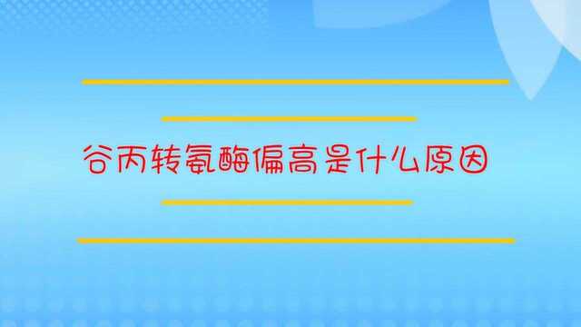 谷丙转氨酶偏高是什么原因?