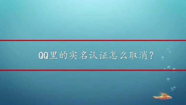 QQ里的实名认证怎么取消?