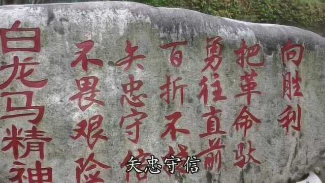 龙马剧社简介