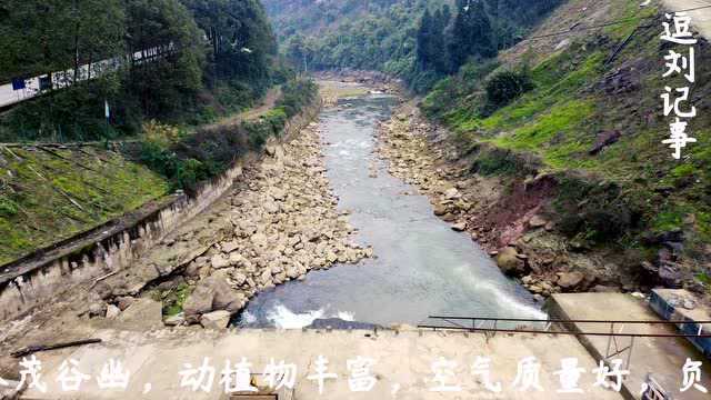 忠县有个生态漂流区,周边群山环绕, 绿树掩映,就在东溪镇南侧