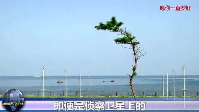 探测范围3百万平方公里,我国体制雷达研发成功,防辐射隐身导弹