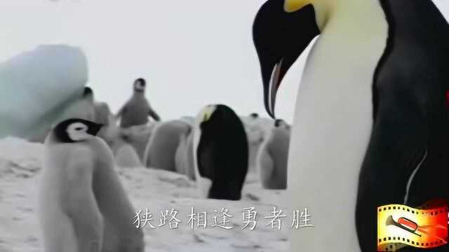 悦听悦看好心情