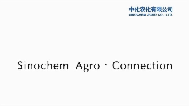 中化农化向韩国客户捐助口罩