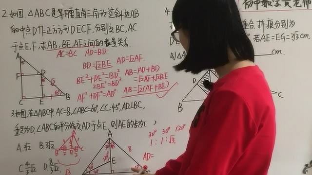 中考数学总复习:15第四部分《几何图形》直角三角形2