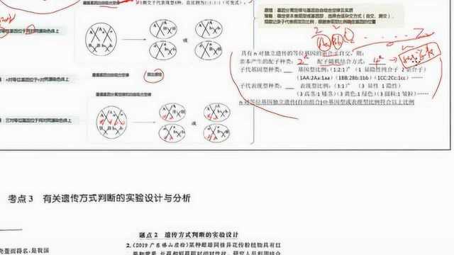 高考复习:遗传方式归类及解题思路