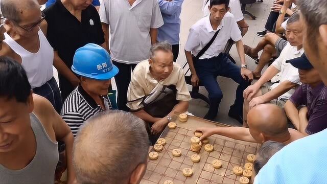 湖南岳阳这个公园都是大爷下棋,呼叫抖音王铁锤!这里大爷可以下一个月.