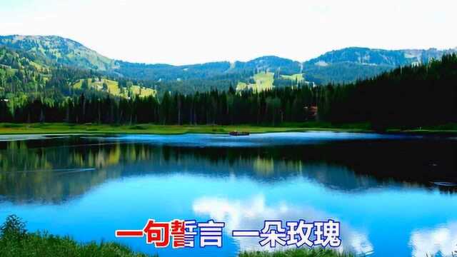 一首情歌《流浪的情人》超好听