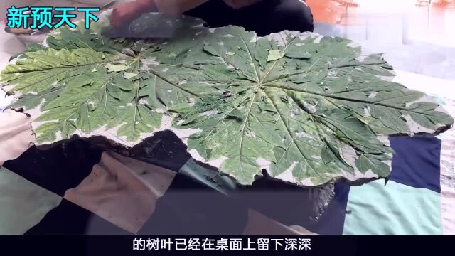 教你用水泥制作桌子,桌面是树叶的脉络,一起来学习下!