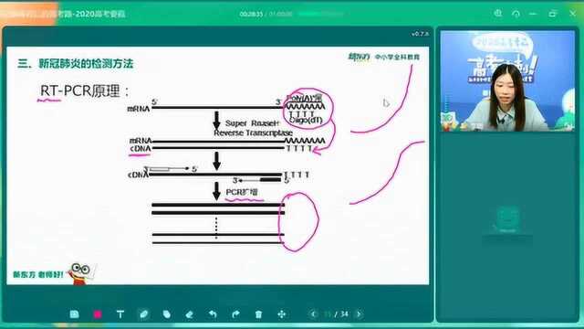 高考生物新冠病毒背后的高考题新东方李璐老师