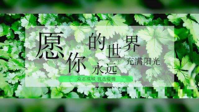 农网升级改造 助力脱贫攻坚