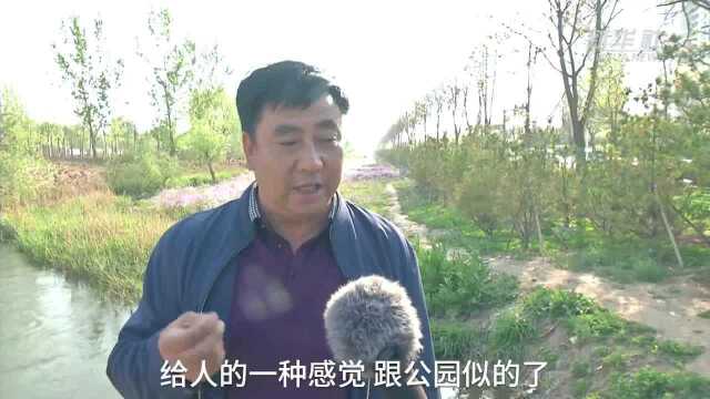 秦皇岛:绿化裸露地块 提升城市“颜值”