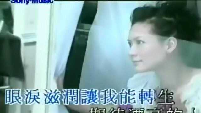 卢巧音演唱《美丽在唱歌》,一首节奏欢快的歌曲,唱得太好听了!