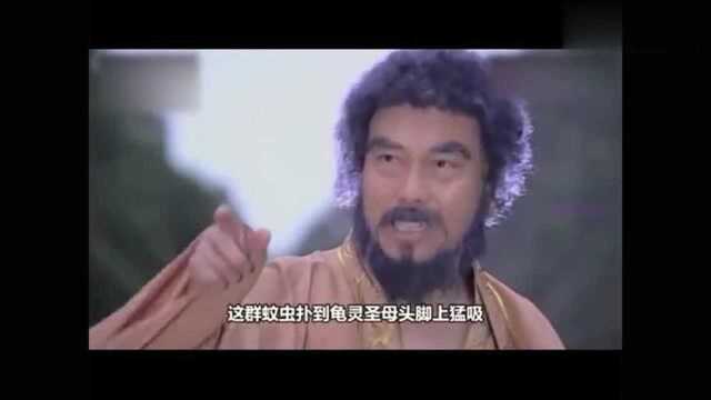 封神演义中,龟灵圣母被蚊子吸干而死是意外?原文中早已说明答案