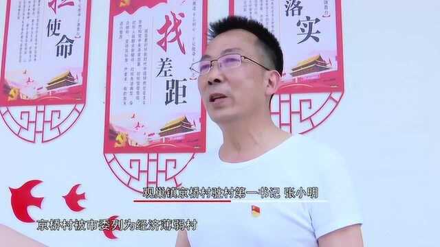 观巢镇:脐橙产业促增收